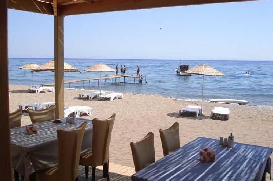 Villa del Mar-官方