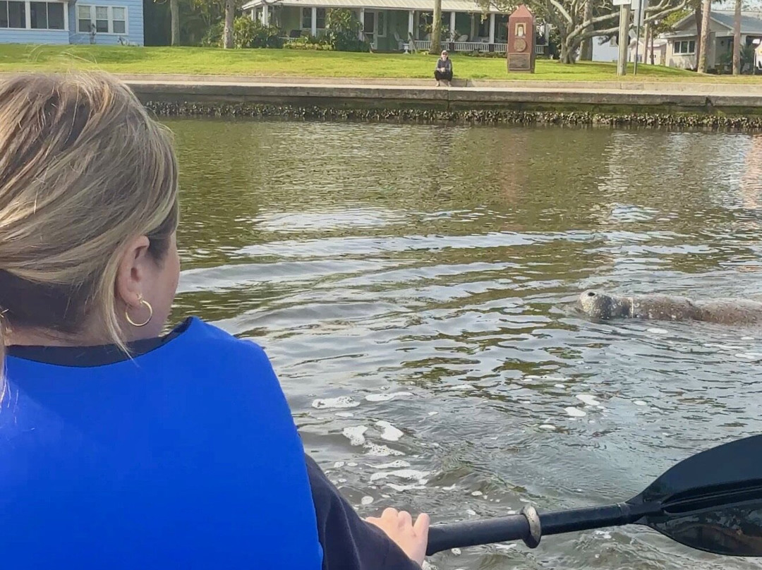 Get Up And Go Kayaking - Tarpon Springs-塔彭斯普林斯必去景点