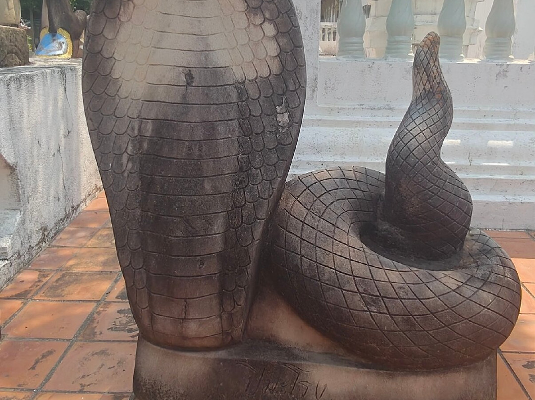 Wat Li-帕夭必去景点