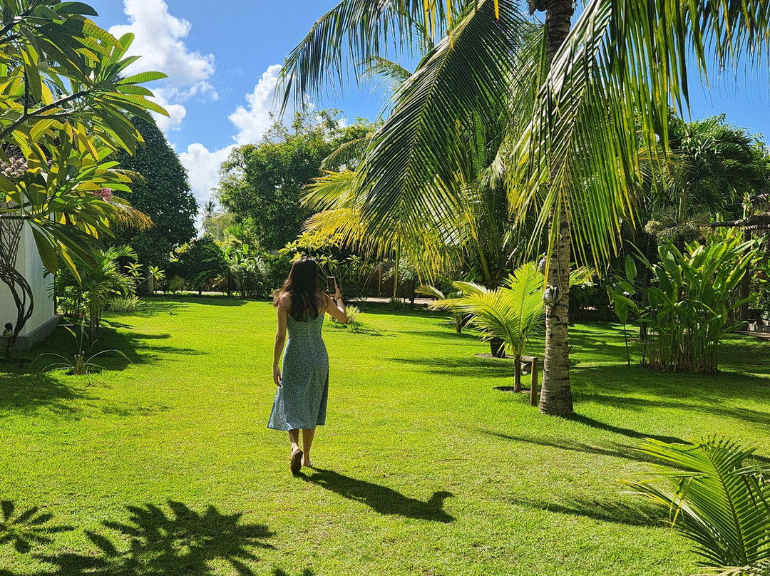 Ocacocar - Milagres主图