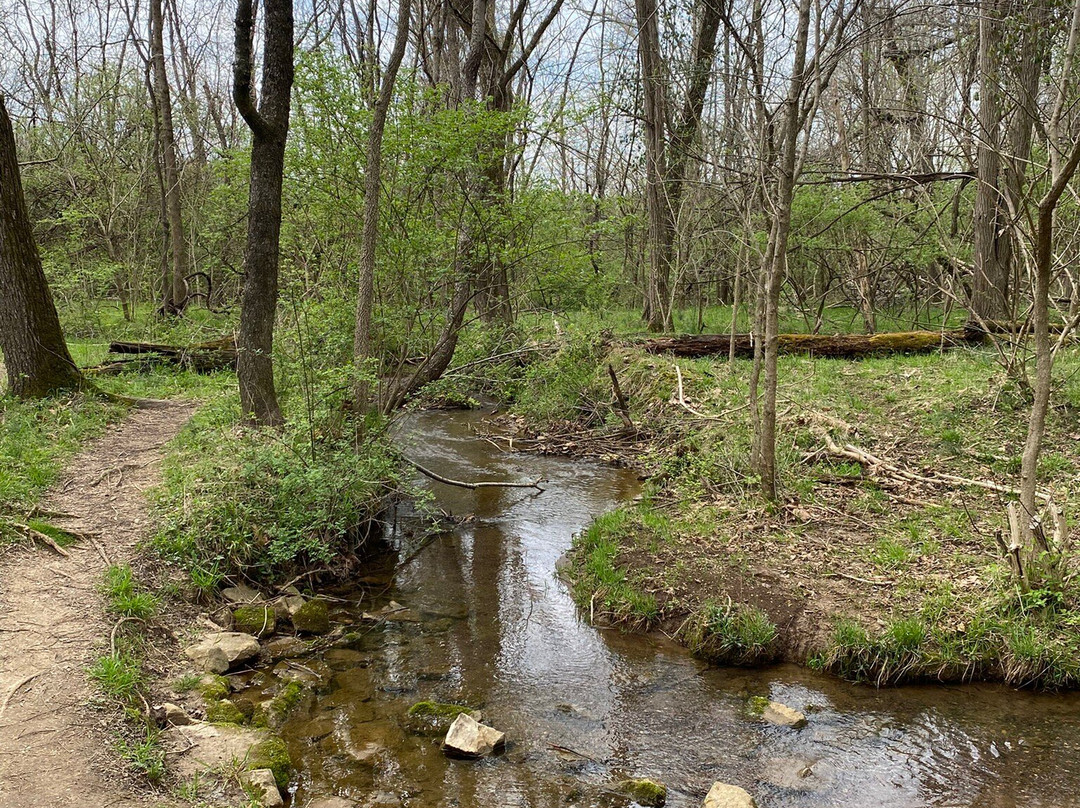 EP "Tom" Sawyer State Park景点图片