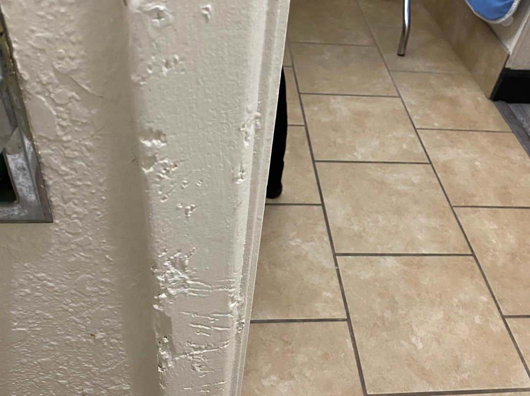 霍尔布鲁克华美达旅店主图