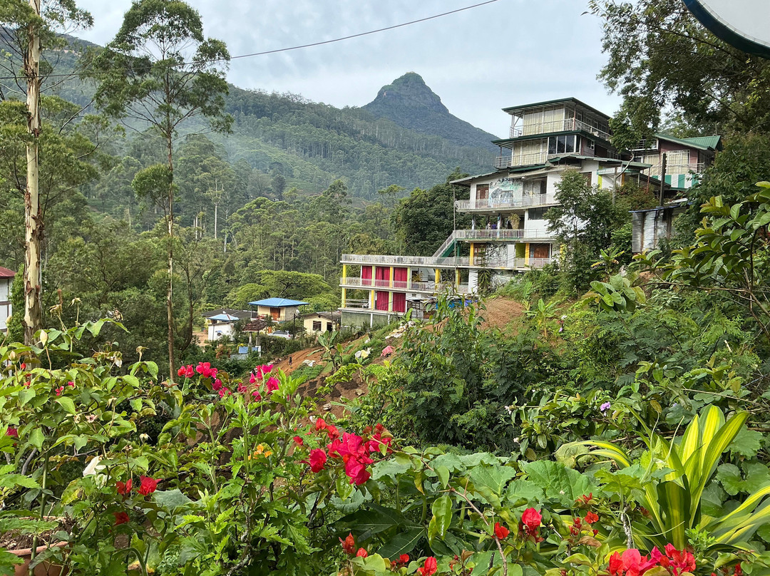 Slightly Chilled主图