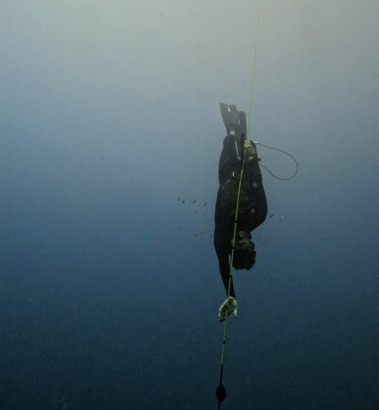 Coral Coast Freediving-Korolevu必去景点