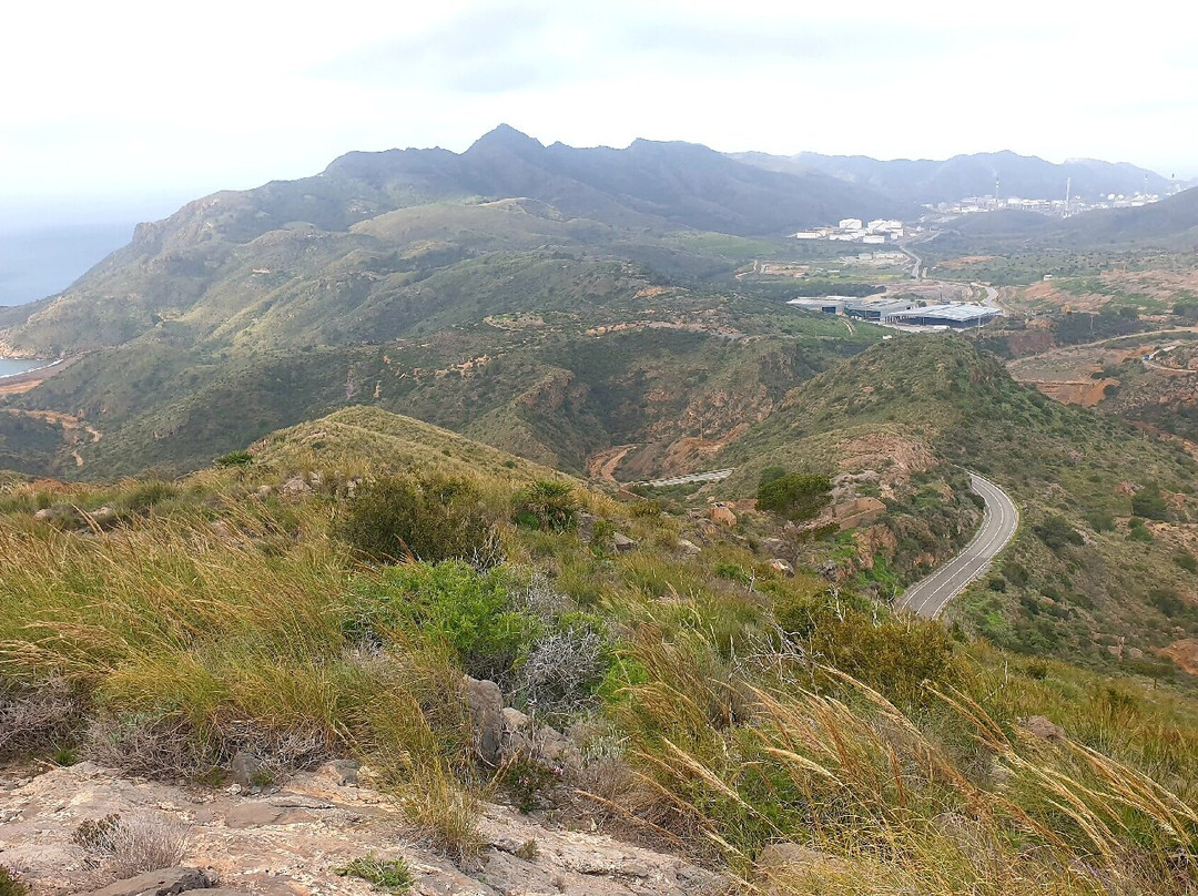 Cabezo Del Pino景点图片