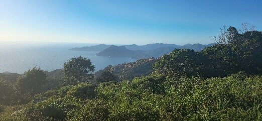 CORSICA QUAD景点图片