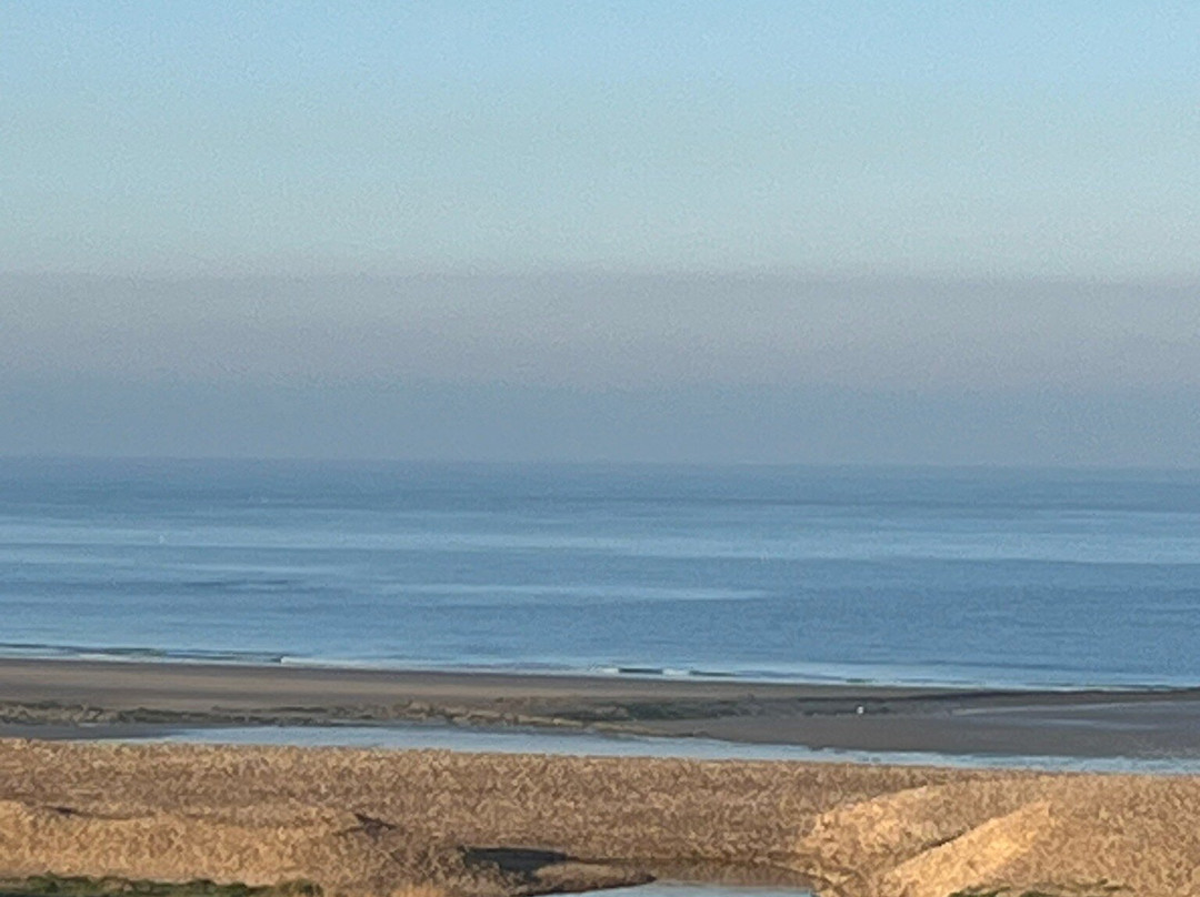 Hôtel de la Plage主图