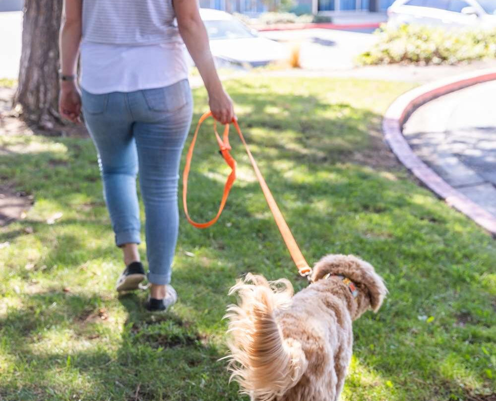 Sonesta Simply Suites Irvine East Foothill