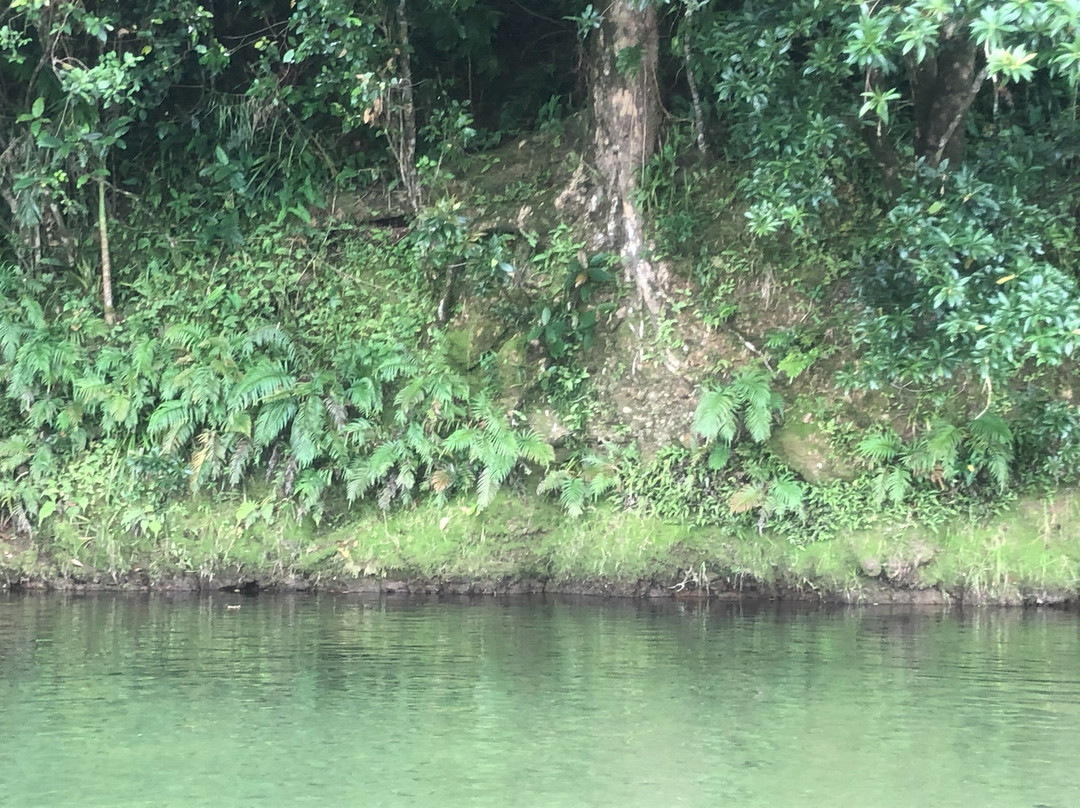 Babinda Kayaking-Babinda必去景点
