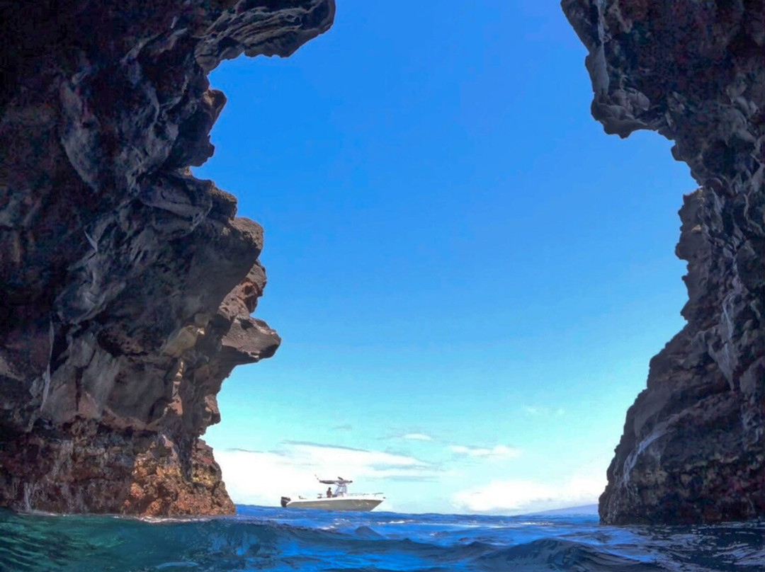 Kona Offshore Adventures-凯鲁瓦-柯纳必去景点