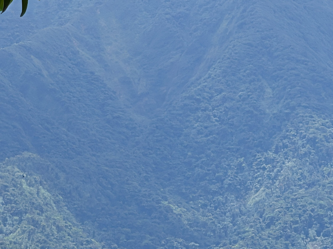 Heliconias Hanging Bridges Trails-Bijagua de Upala必去景点