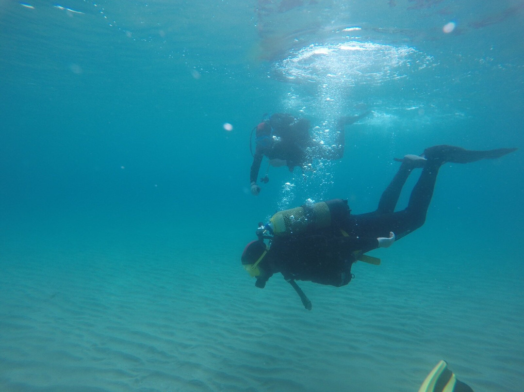 Puerto Buceo-圣玛丽亚港必去景点
