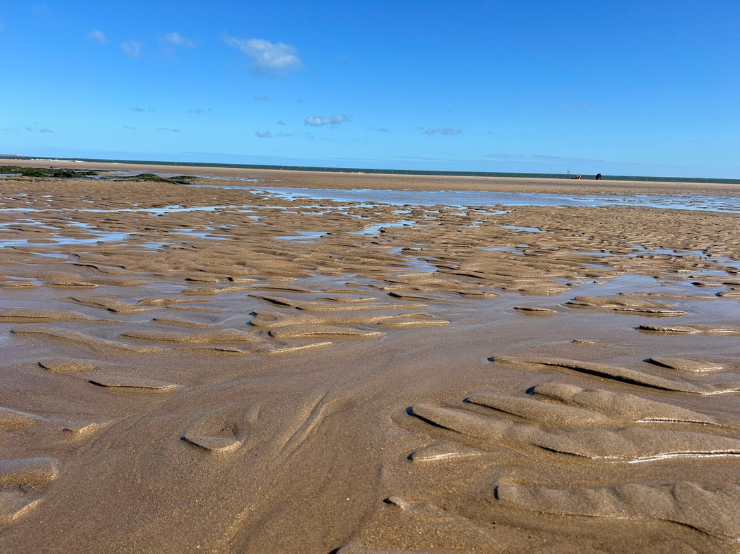 Cresswell Beach景点图片