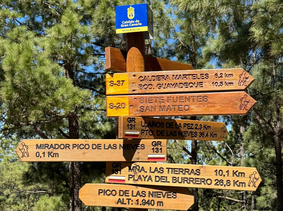 Pico De Las Nieves景点图片