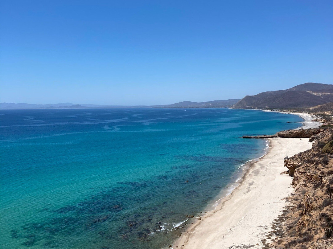 Hotel Palmas De Cortez主图