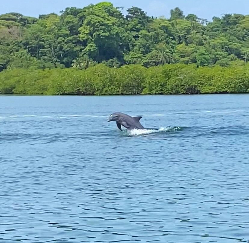 CAMETUR-大卫市必去景点