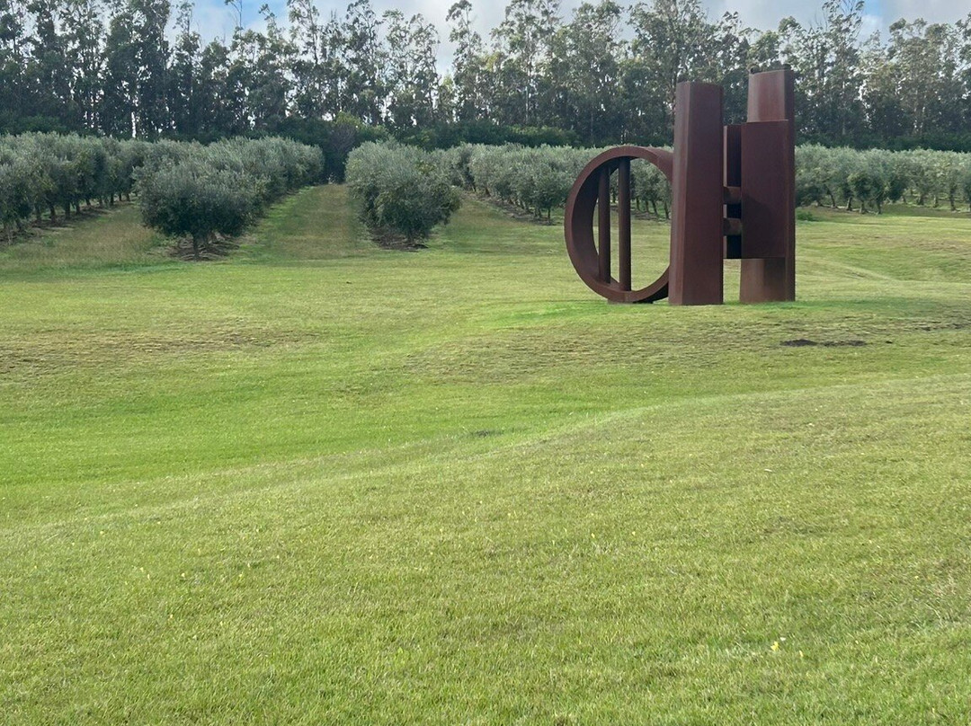 Jose Ignacio Bodega Oceanica-Jose Ignacio必去景点