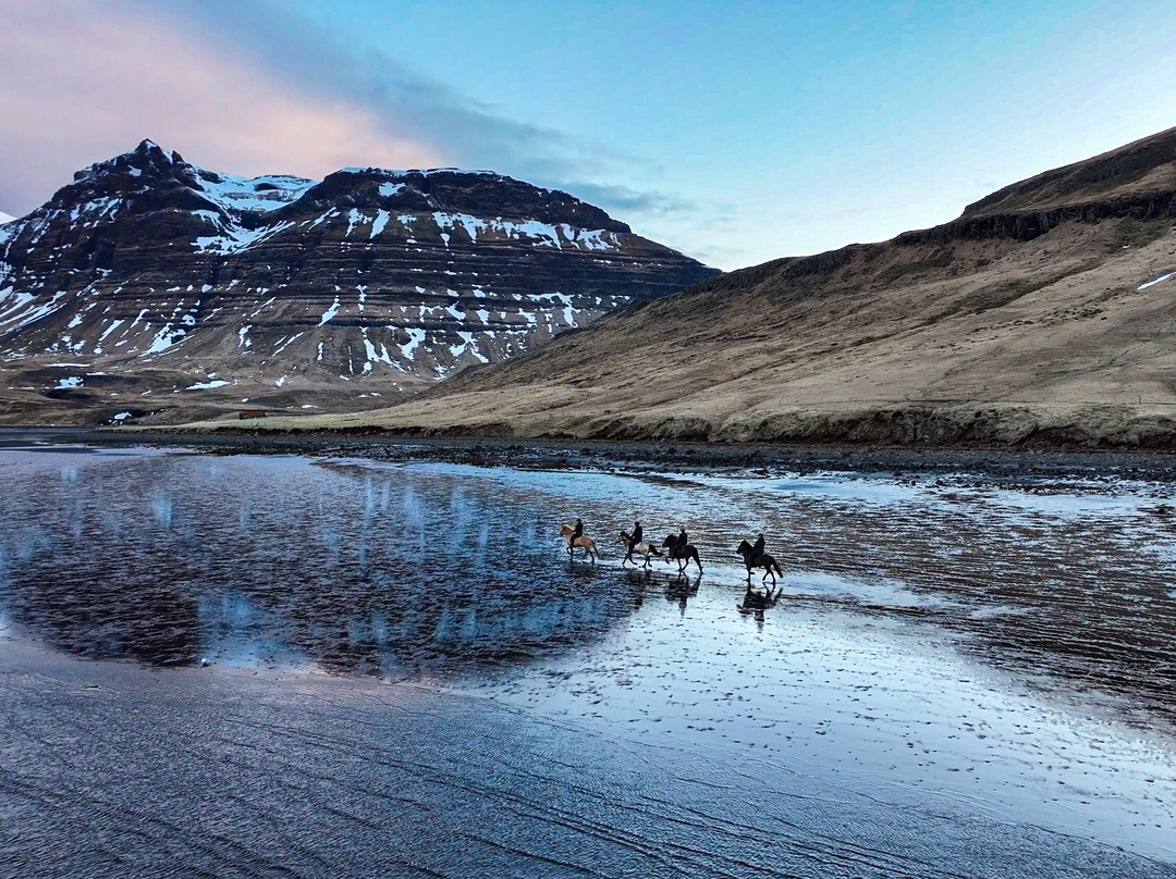 Kirkjufell Horse Center-格伦达菲厄泽必去景点