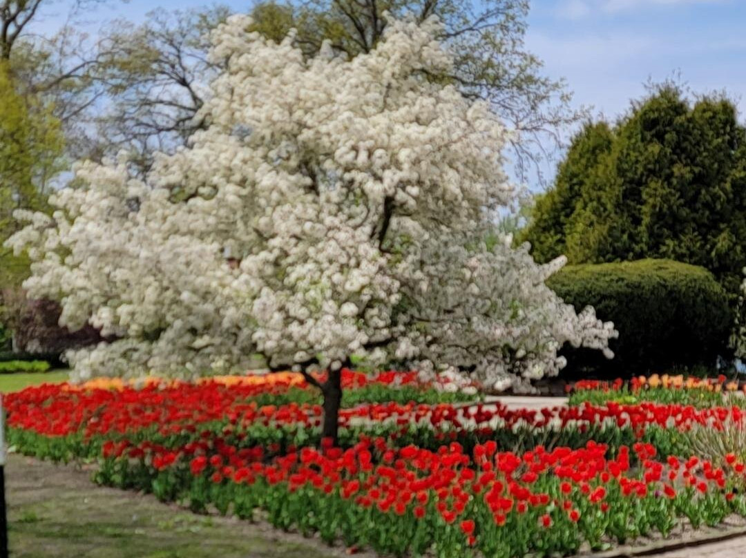 Wellfield Botanic Gardens景点图片