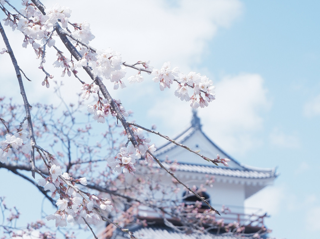 Shiroishi Castle History Museum-白石市必去景点
