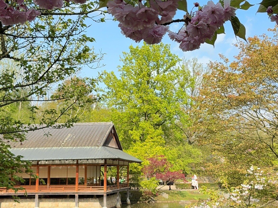 Japanese Tuin-哈瑟尔特必去景点