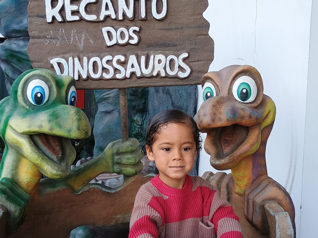 Hotel Recanto Dos Dinossauros主图