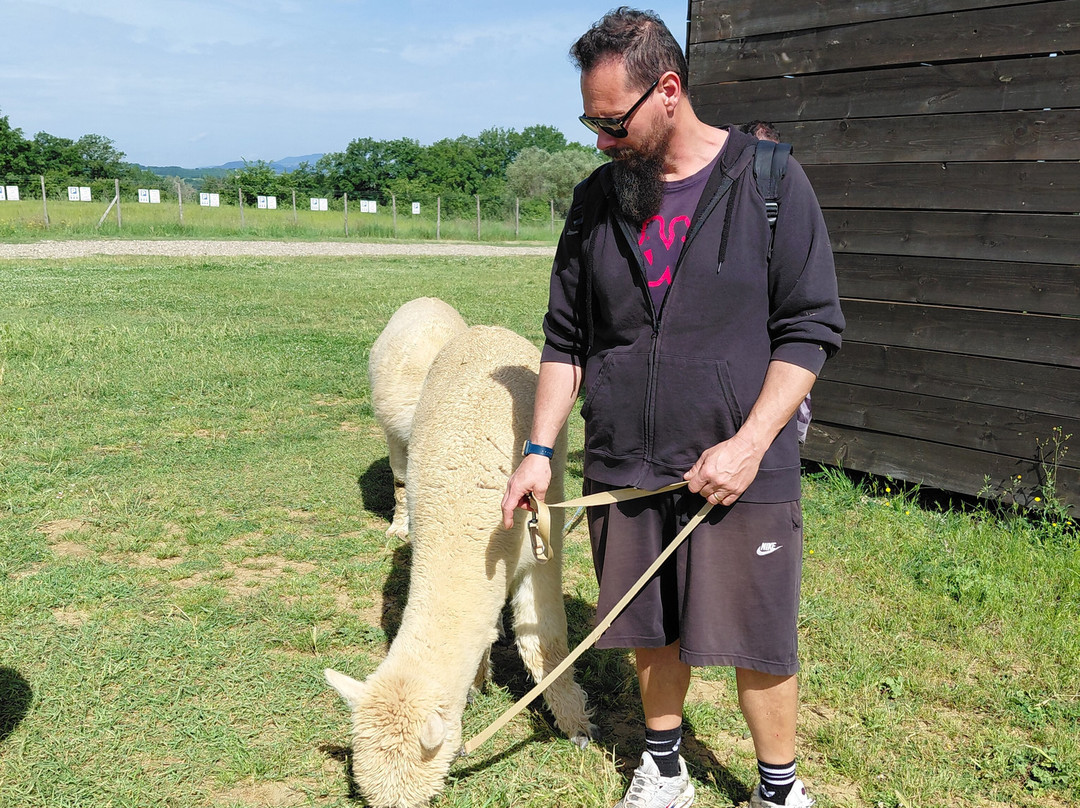 Albus Alpacas-Sasso d'Ombrone必去景点