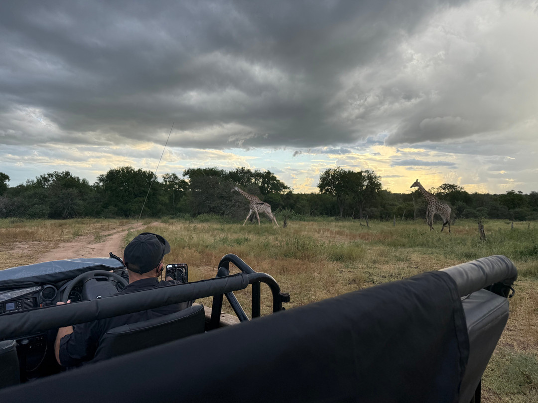 Tsiba Tsiba Wine Tours-斯泰伦博斯必去景点