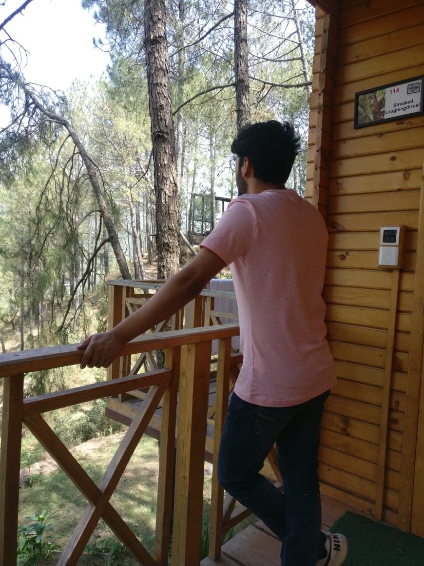 Kasauli Hills Resort-酒店景观