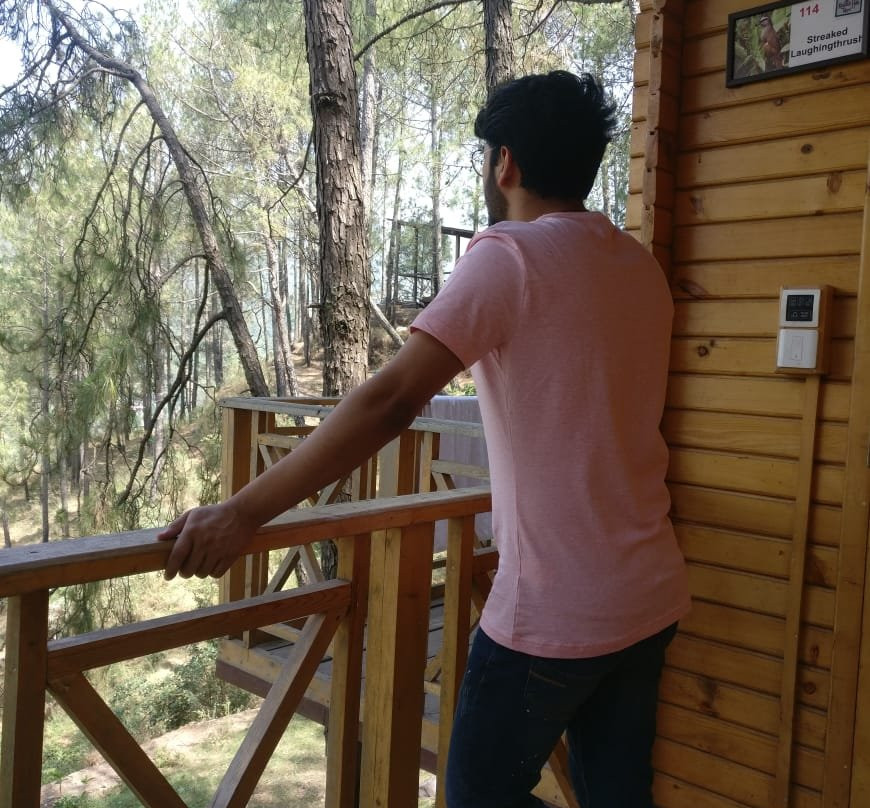 Kasauli Hills Resort主图