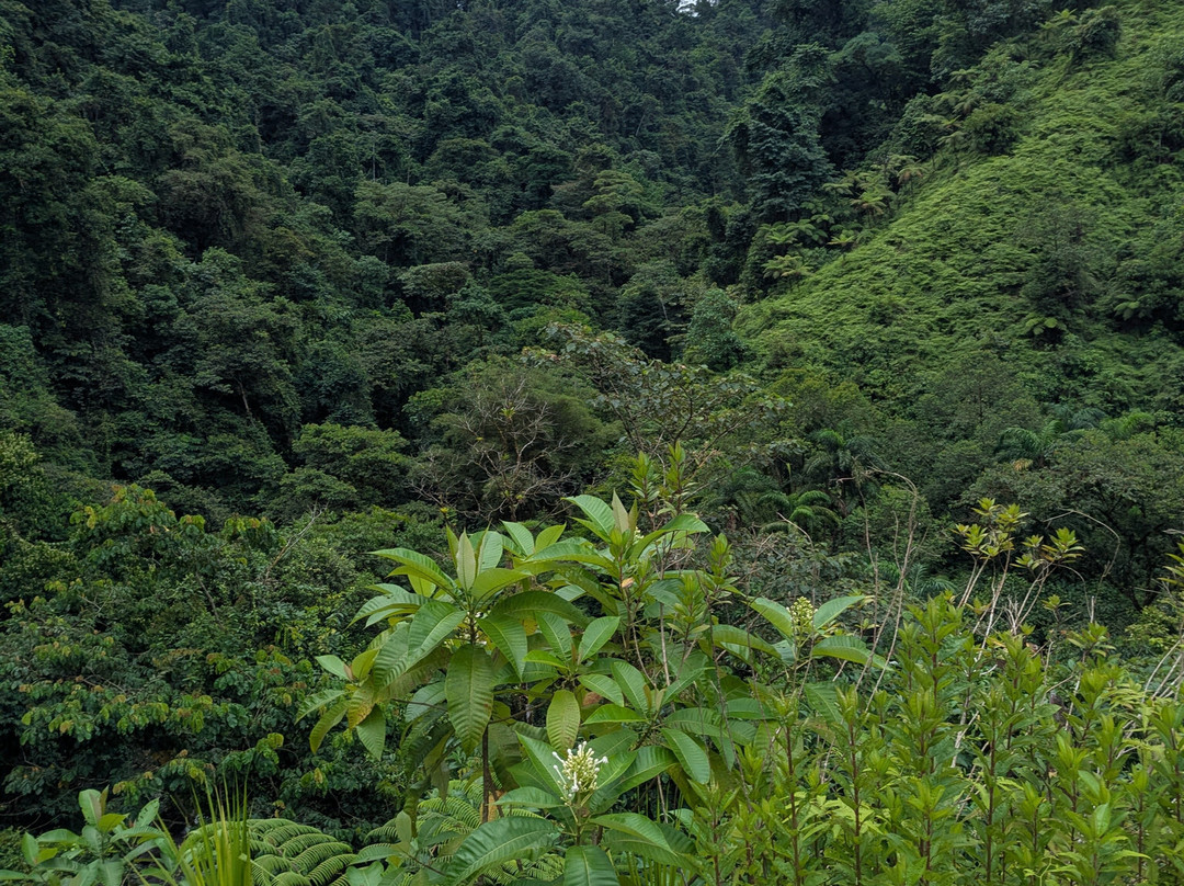 ADR Adventure Park-哥斯达黎加安东尼奥国家公园必去景点