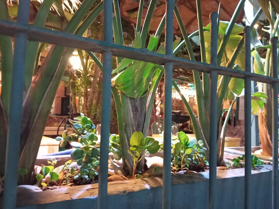 Taghazout餐馆和美食-Dar Joséphine