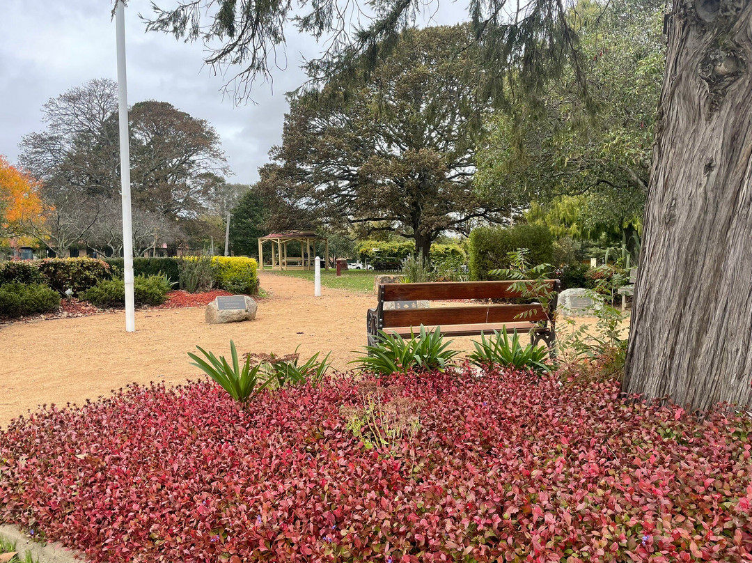 Braidwood Memorial Park景点图片