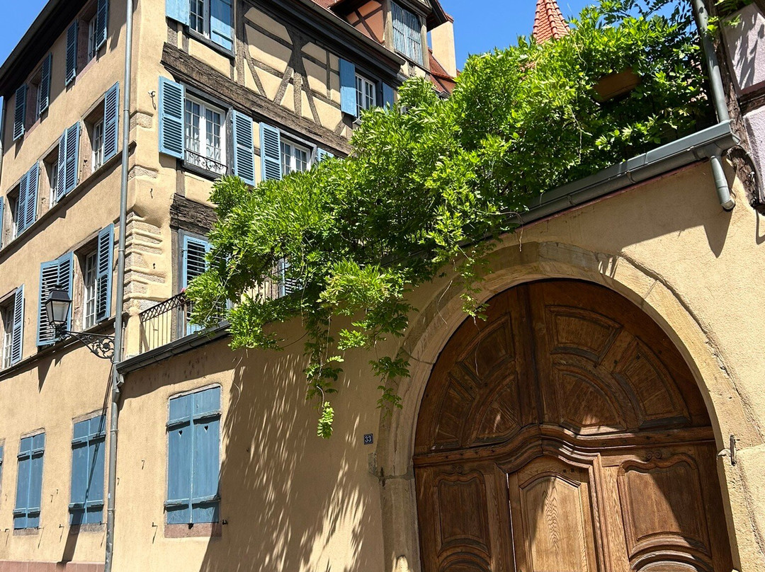 Grand Rue De Colmar-科尔马必去景点