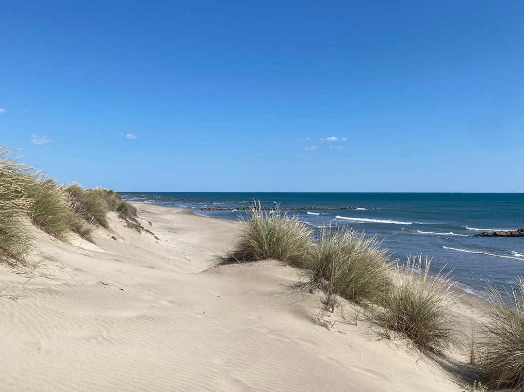 Plage de l’Espiguette-勒格罗迪鲁瓦必去景点