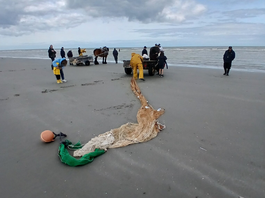 Paardevissers in Oostduinkerke-东代恩凯尔克必去景点