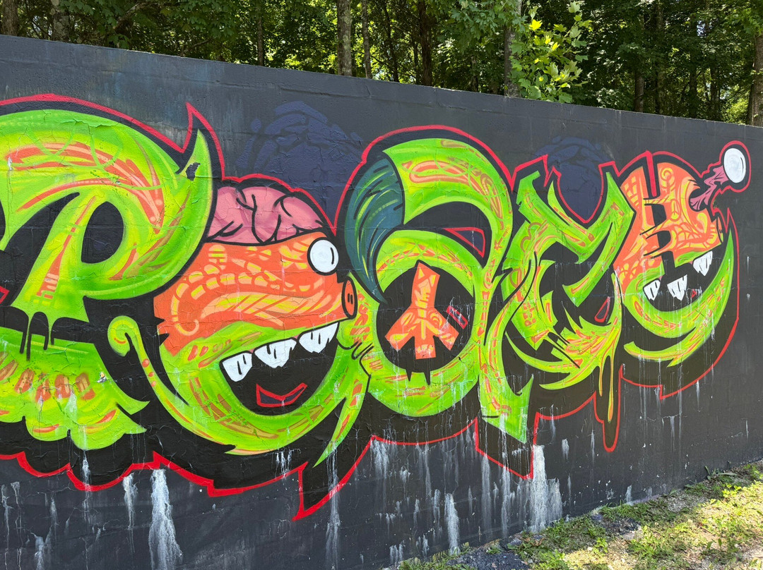 The Walls Art Park-Waverly必去景点