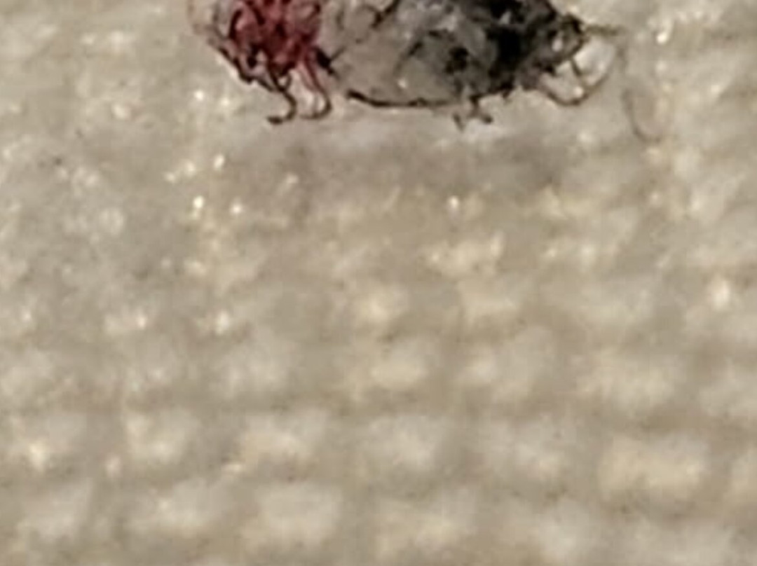 阿尔科斯别墅酒店主图