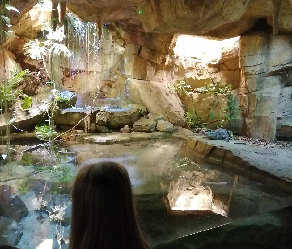 Stratford Butterfly Farm-埃文河畔斯特拉特福必去景点