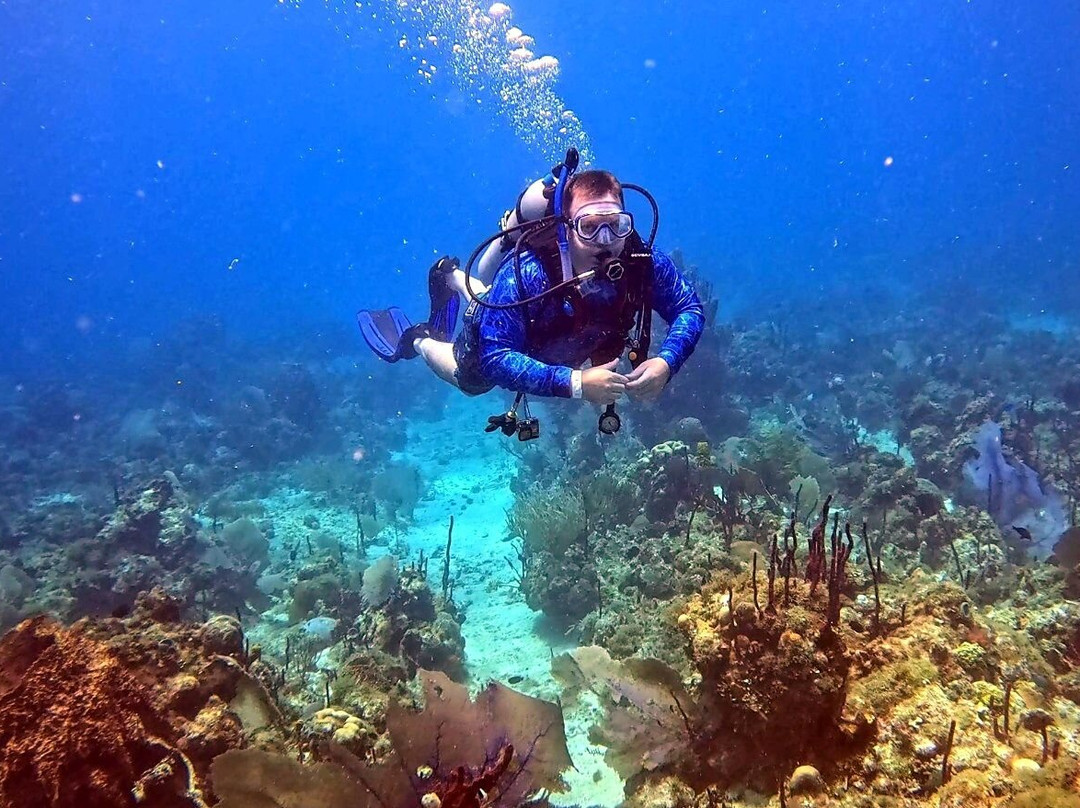 Ultra Marine Divers-蓬塔卡纳必去景点