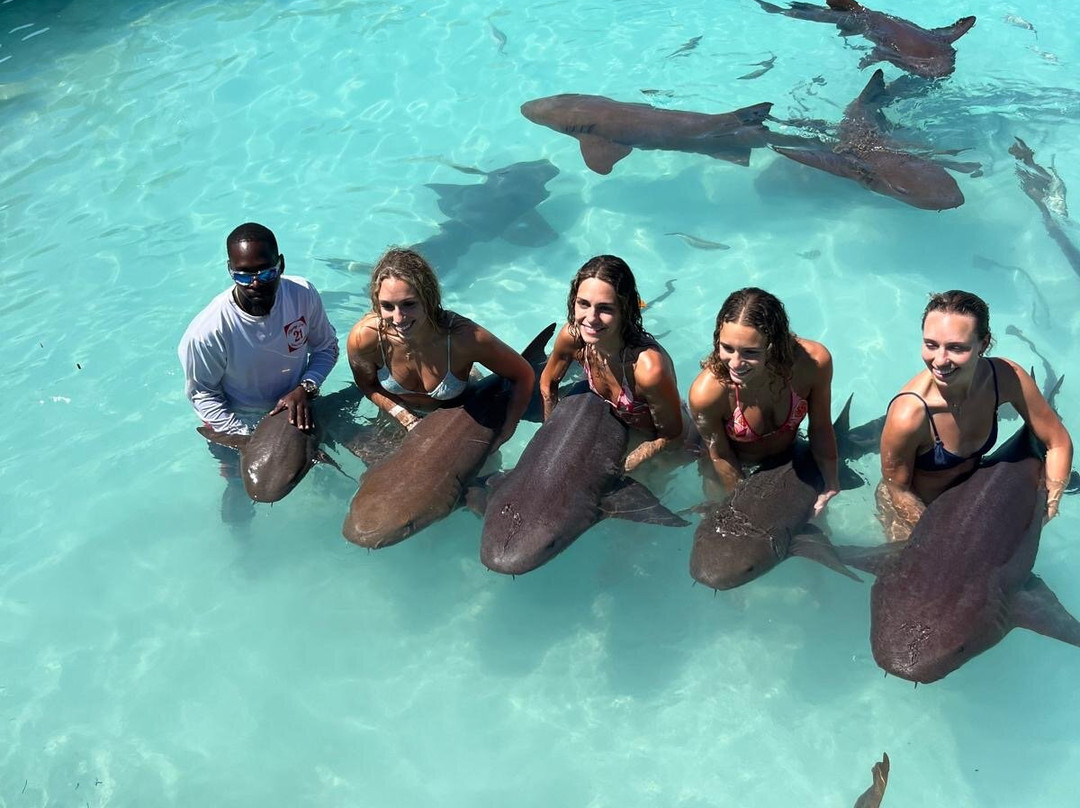 Capture Offshore Exuma-斯丹尼尔岛必去景点