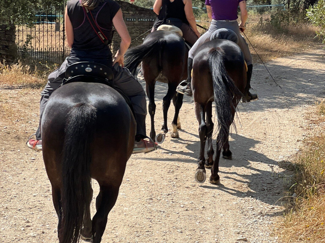 Caballos y Vino-隆达必去景点