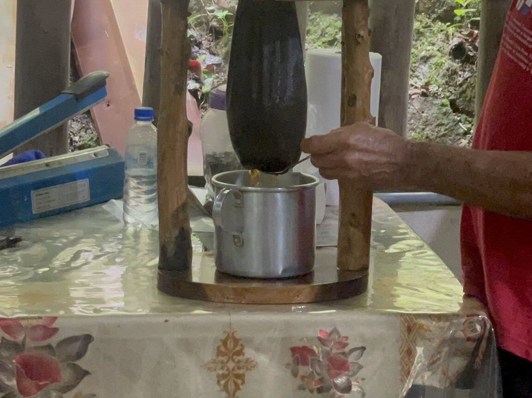 Café Don Emilio-Perez Zeledon必去景点