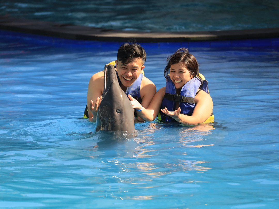 Bali Exotic Marine Park-登巴萨必去景点