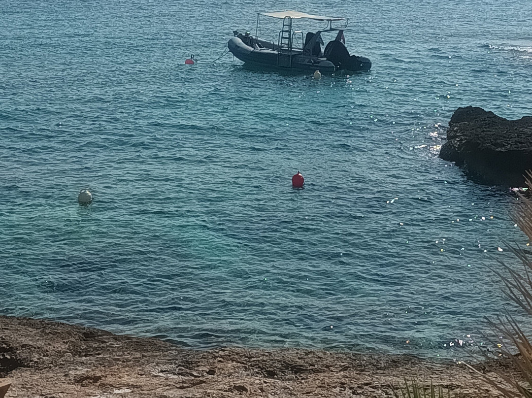 Heraklion Diving Center-赫索尼索斯必去景点