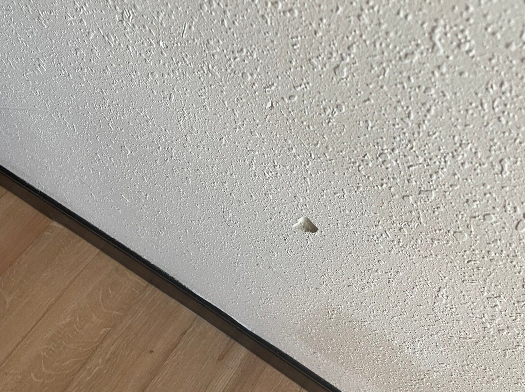 Red Roof PLUS+ Long Island - Garden City主图