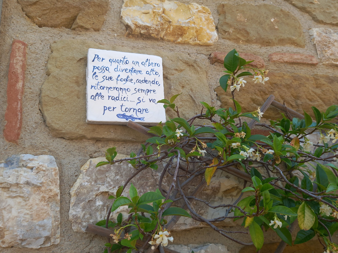 Isola Maggiore-Tuoro sul Trasimeno必去景点