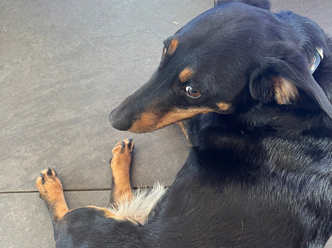 Oiv Tower Sljeme - Sljeme360-萨格勒布必去景点