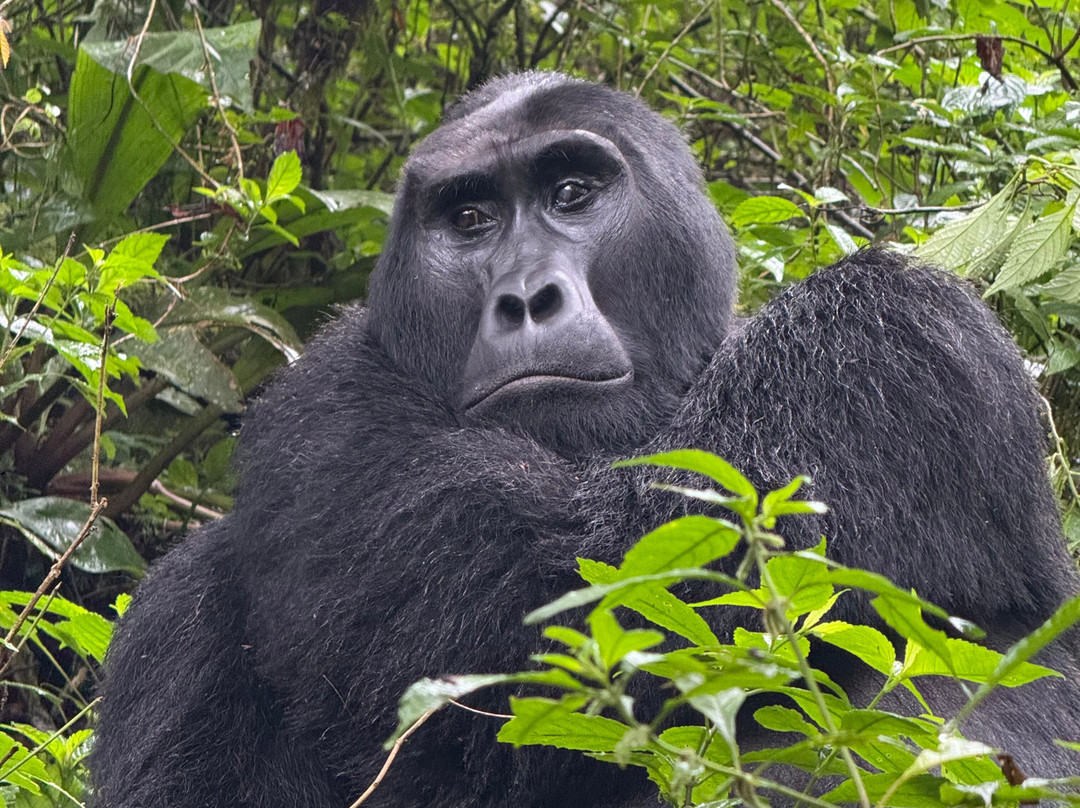 Insight Safari Holidays-Kanungu必去景点