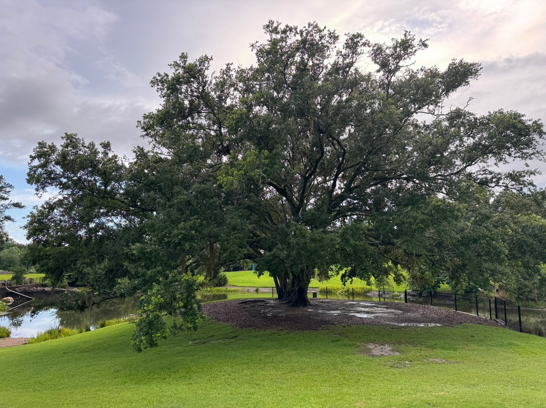 Cascades Park-塔拉哈西必去景点
